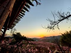 -观清澜疗愈民宿(龙泉山风景区店)