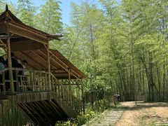 -宁波浙东大竹海景区