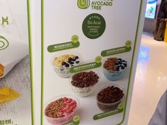 -油梨树AVOCADO TREE(嘉里中心店)