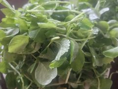 -朝伟清真铜瓢牛肉馆(三十年老·店)