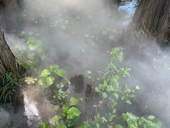 -东湖落雁景区