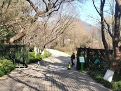-西湖风景区-江洋畈生态公园
