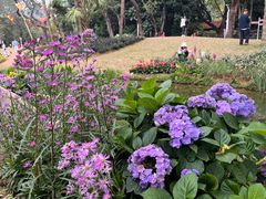 -人民公园(罗湖区)