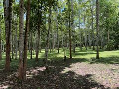 -中国科学院西双版纳热带植物园