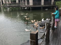 -上海怡沁园度假酒店