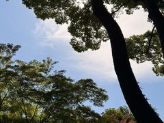 -上海醉白池公园