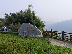 -铁山坪森林公园