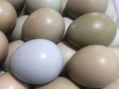 野鸡蛋-长兴慧子土特产茶行