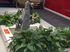 -钱记·乡野菜(紫荆花路店)