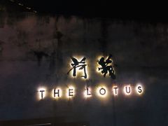 -几荷·恰似故人来(秀水广场店)