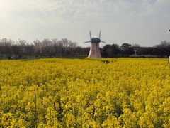 -武汉紫薇都市田园