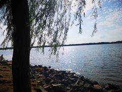 -丁香湖公园