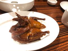 光明卤鸽-陈鹏鹏潮汕菜(欢乐海岸 海边景观店)