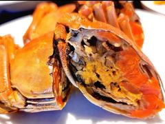 -甄御•海鲜新青岛菜(麦岛店)