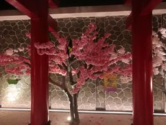 -蓝鲸湾汤泉(包河店)