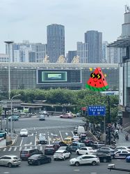 -上海玫瑰医疗美容医院