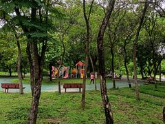 -东莞植物园
