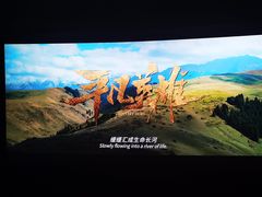 -武汉华夏国际影城(鲁广店)