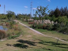 -上海长兴岛郊野公园