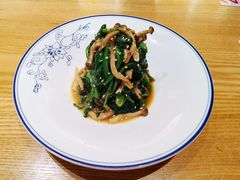 小蘑菇调菠菜-西北45°(世茂广场店)