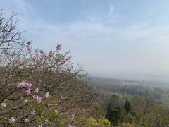 -北京鹫峰国家森林公园