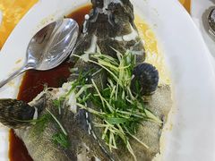 -蚝专家(北滘店)