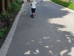 -武陵山森林公园