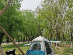 -永定河休闲森林公园