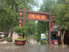 -合肥滨湖国家森林公园