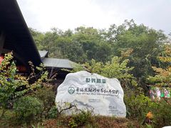 -普洱太阳河森林公园