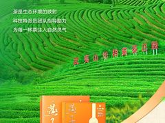-华祥苑茶馆•国缤茶小蓝罐(普罗旺斯店)