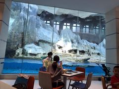 -帝企鹅自助餐厅•儿童岛•真企鹅(长隆企鹅酒店)