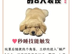 -申普宠物医院·眼科·心内科·影像科(普陀分院)