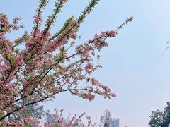 -成都动物园