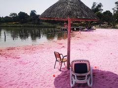 -上海杨姆庄园