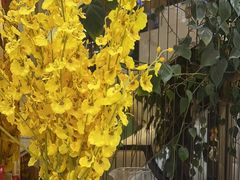 -全聚德(蓝山店)