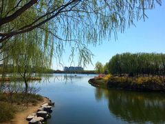 -大兴滨河森林公园