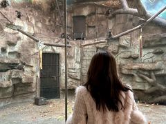 -石家庄市动物园