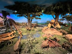 -国家自然博物馆