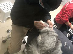 -老吴的猫·猫舍(新区店)