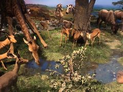 -国家自然博物馆