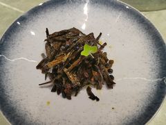 -雅苑中餐厅