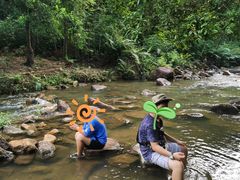 -广州白江湖森林公园