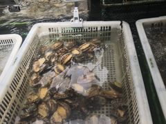 -盒马鲜生(大成店)