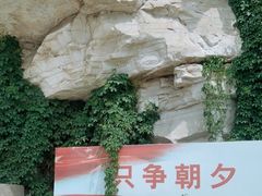 -仙蘑洞