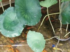 -苏浙徽·江南荟·本味融合菜(相城方圆里店)