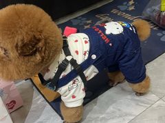 -上海玛雅海滩水公园