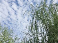 -兰溪青年公园