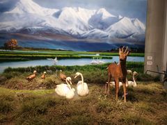 -中国湿地博物馆