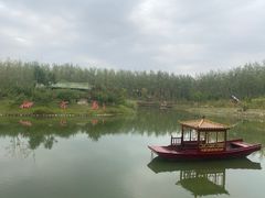 -合肥滨湖国家森林公园